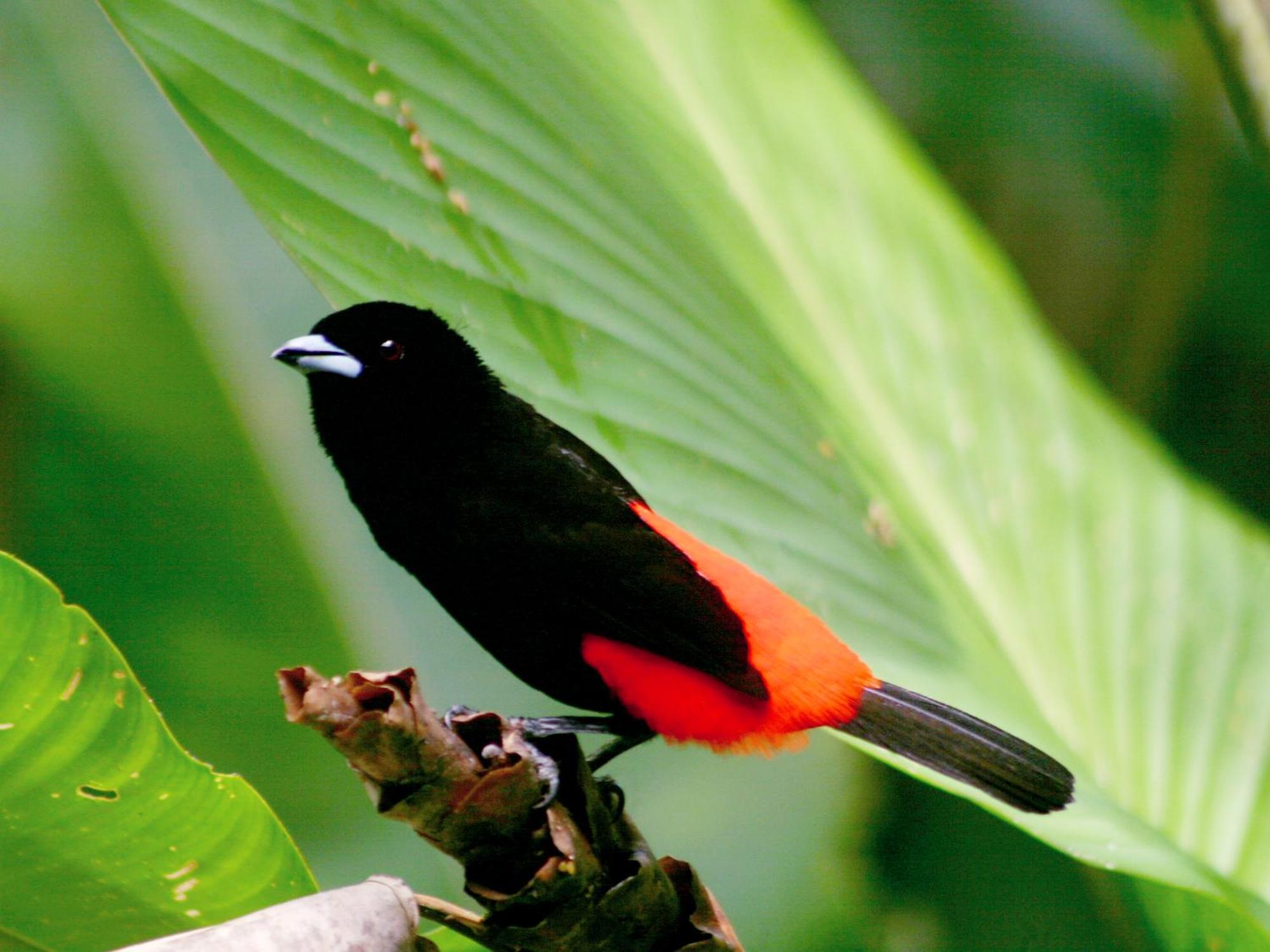 El Colibri Lodge 만사니요 외부 사진