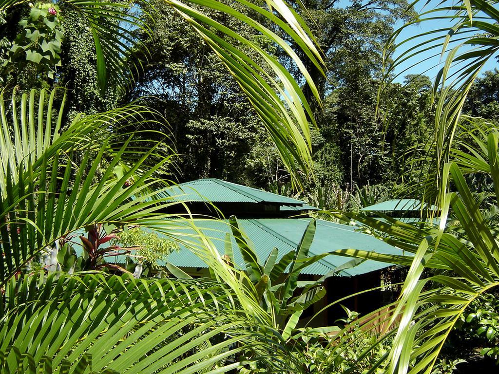 El Colibri Lodge 만사니요 외부 사진