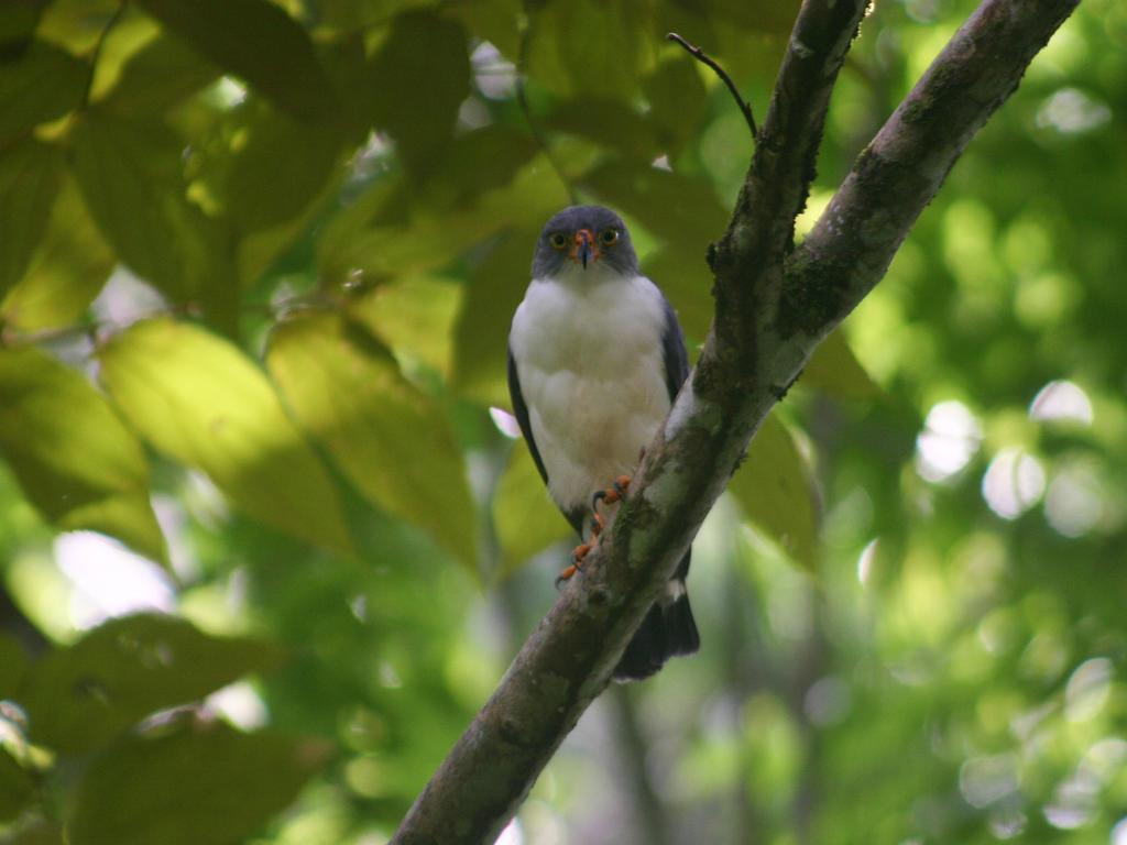 El Colibri Lodge 만사니요 외부 사진